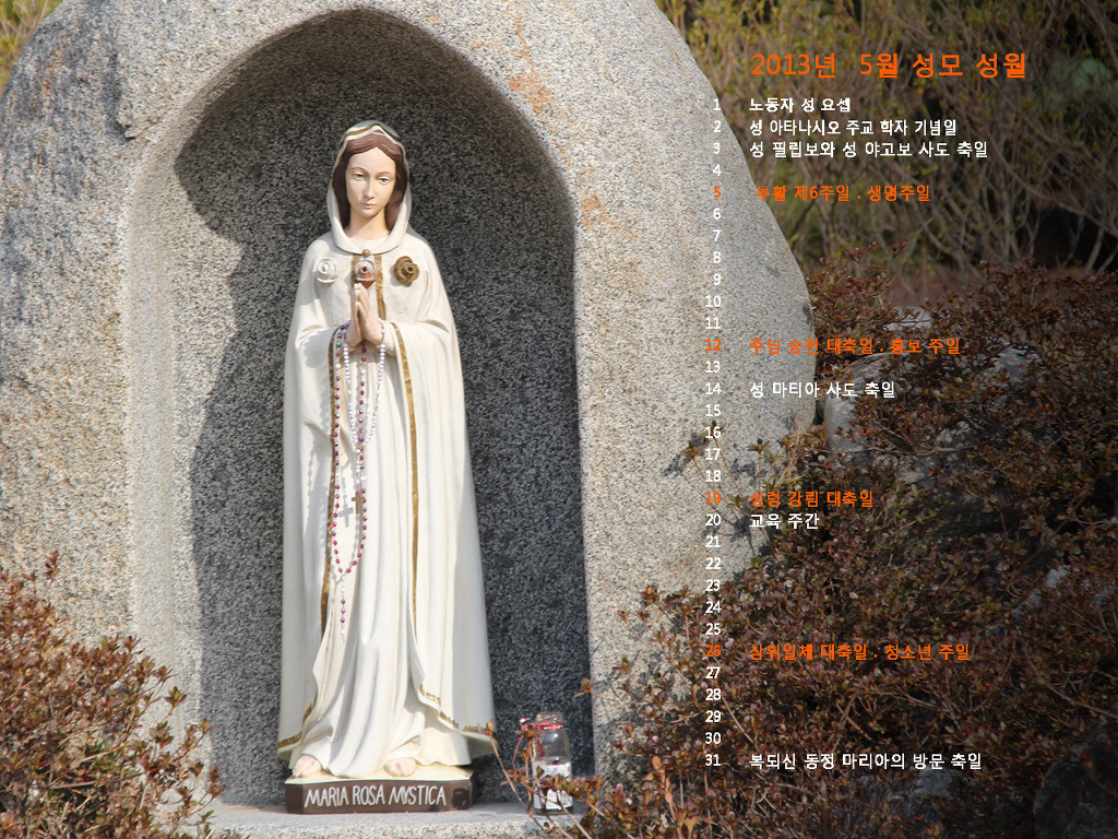 5월 성모성심 배경.jpg